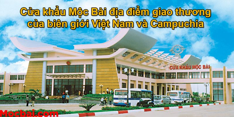 Tổng hợp hàng hóa xuất nhập khẩu tại Mocbai