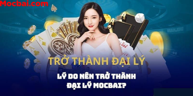 Những lý do nên trở thành đại lý Mocbai?