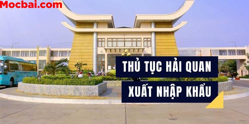 Quy trình xuất nhập khẩu Mocbai chi tiết