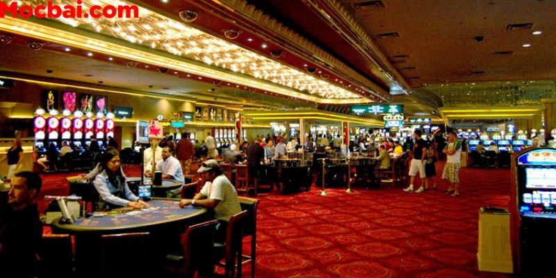 Các sản phẩm cá cược tại Casino Chateau